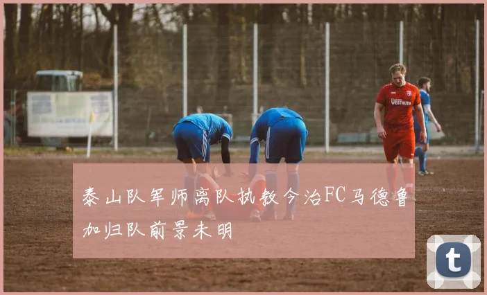 泰山队军师离队执教今治FC马德鲁加归队前景未明